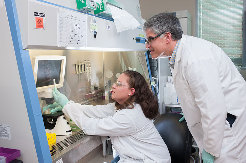 Two researchers in Andrés García's lab.